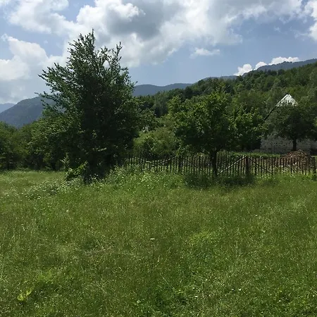 Pensjonat Cold Spring Szkodra