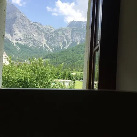 Cold Spring * Szkodra