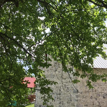 Pensjonat Cold Spring Szkodra
