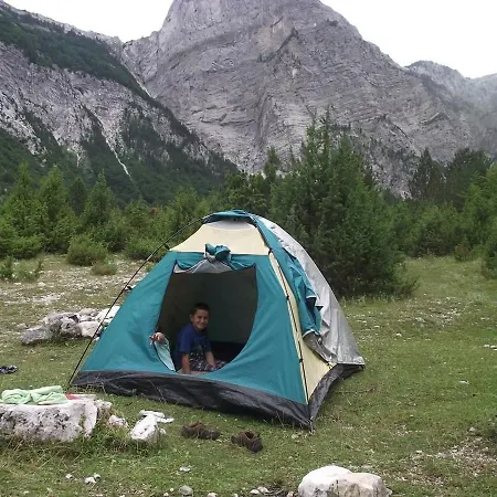 Cold Spring * Szkodra